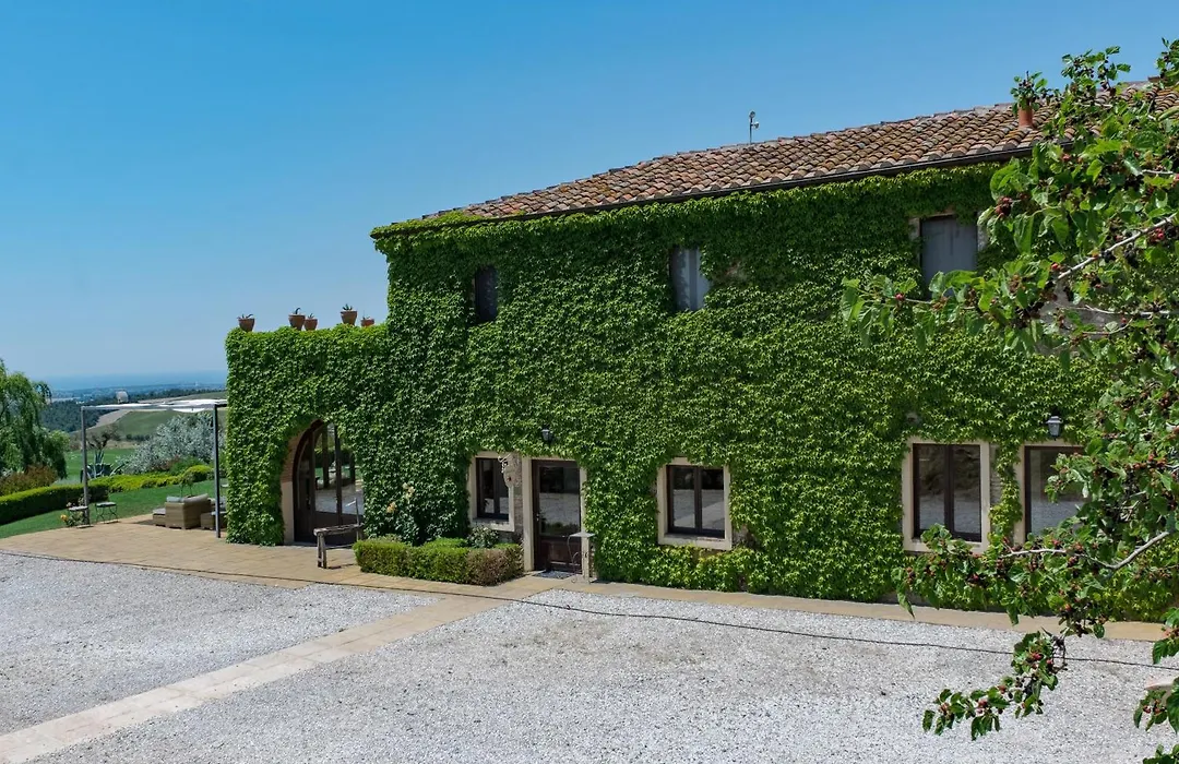 La Marrana - Castello del Terriccio-1